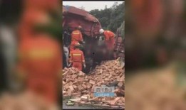 爆料古树女王在线观看视频