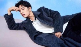 爱豆娱乐吃瓜酱肖战,爱豆娱乐吃瓜酱背后的故事