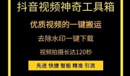 抖音视频爆料箱,揭秘热门视频背后的秘密