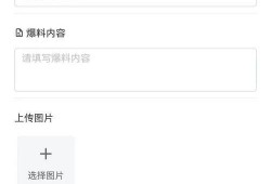 小程序爆料大全最新版,揭秘热门应用最新动态与功能更新