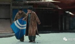 电影风筝在线观看,穿越时空的救赎之旅