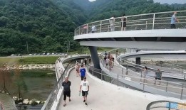 网红湾湾爆料视频,揭秘幕后真相