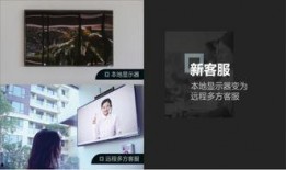 小鱼视频爆料热线,揭秘娱乐圈幕后故事