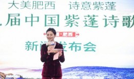 肥西女婿爆料新闻视频,揭秘背后惊人真相