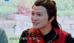 娱乐吃瓜君王鸥是谁呀,王鸥的星光之路