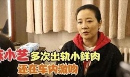陈小艺出轨爆料视频,真相与争议