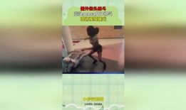 街头爆料女人视频播放大全,女人视频大全精彩瞬间回顾