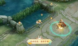 王者辟谣皮肤爆料视频,揭秘皮肤爆料视频背后的真相与期待