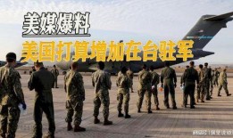 美国将军爆料视频