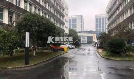 天津顺驰桥爆料视频曝光,揭秘背后惊人真相