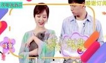 娱乐综艺吃瓜八卦图,吃瓜图鉴，揭秘明星幕后故事