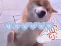 爆料版搞笑配音大全视频,搞笑配音大全视频盘点