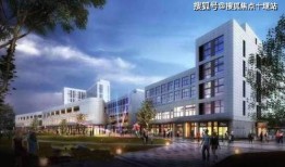 上海嘉定咋爆料新闻类,聚焦热点事件，揭秘幕后真相