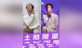 网红爆料明星翻车视频,明星翻车视频引发热议，真相曝光令人震惊