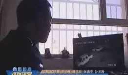 成都深夜爆料新闻视频大全,视频大全揭秘城市夜生活幕后