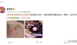 娱乐吃瓜酱赚钱是真的吗,娱乐吃瓜酱赚钱真相，是骗局还是机遇？