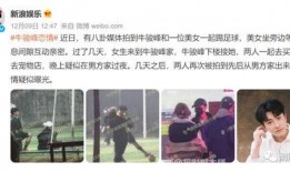 瓜姐爆料今日猜瓜,今日猜瓜大揭秘，揭秘娱乐圈最新热点