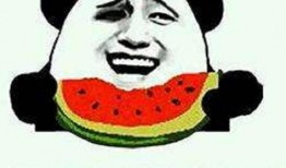 勤勤娱乐吃瓜,勤勤娱乐吃瓜大揭秘