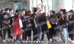 北京狗仔爆料视频最新,揭秘娱乐圈惊人内幕