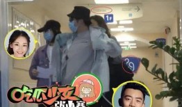 杨幂和郑恺最新爆料,揭秘娱乐圈幕后真相！