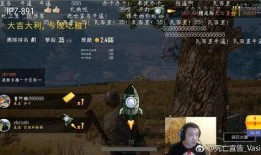 爆料吃鸡主播武子弈视频,视频爆料背后的精彩瞬间