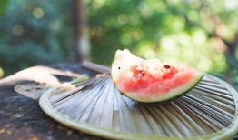 吃瓜达人免费吃瓜入口,畅享瓜界盛宴！