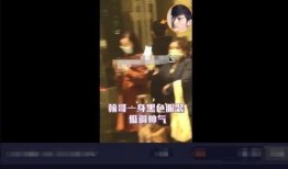 成都深夜爆料新闻视频大全,视频大全揭秘城市夜生活幕后