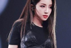 爆料娱乐圈博主喻言是谁,揭秘神秘爆料者的真实身份