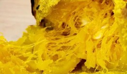 网红吃瓜猛料黄料腿环,吃瓜猛料背后的黄料腿环风云