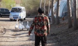 潜江市酒店被爆料事件视频