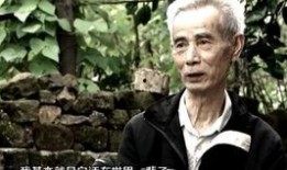 热点爆料有趣视频,笑料百出引人捧腹