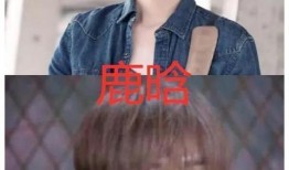 鹿晗新闻爆料视频大全集,揭秘明星幕后故事