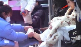 北京狗仔爆料视频最新,揭秘娱乐圈惊人内幕