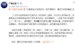 广州大学城爆料案件最新,真相揭秘，校园安全再引关注