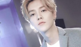 鹿晗新闻爆料视频大全集,揭秘明星幕后故事