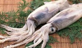 鱿鱼爆料实拍视频大全,鱿鱼爆料视频大全精彩瞬间汇总