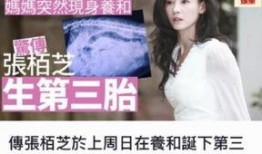 娱乐圈11月5号爆料,明星恋情曝光，幕后真相令人震惊！