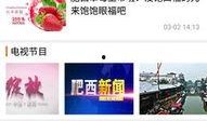 肥西女婿爆料新闻视频,揭秘背后惊人真相
