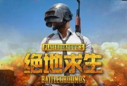 吃鸡三周年爆料视频大全