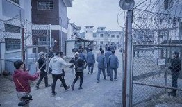 判狱无间在线观看,揭秘黑暗囚笼中的生存法则