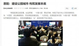 今日头条巴中新爆料,揭秘今日热点背后的真相