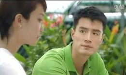 双子星电视剧在线观看,命运交织的星河之旅