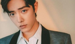 爱豆娱乐吃瓜酱肖战,爱豆娱乐吃瓜酱背后的故事