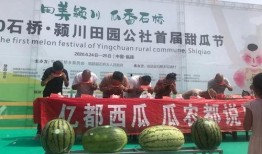 金乡最新大瓜爆料新闻,揭秘惊人内幕，震惊全城！