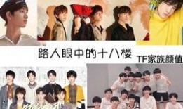 内娱男爱豆最新爆料,揭秘娱乐圈幕后真相与心路历程