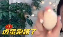 西施近期爆料新闻视频播放,揭秘背后惊人真相