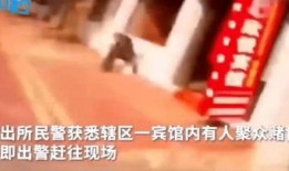 章三丰被爆料视频大全,揭秘背后真相与争议