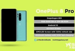 一加手机最新爆料时间,全新旗舰即将揭晓，性能与设计双升级！”