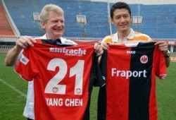 杨晨爆料视频大全集在线观看,揭秘幕后真相，带你走进事件核心