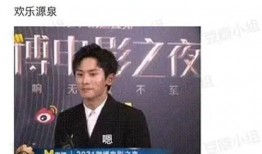 商务部爆料视频播放网站,揭秘热门视频播放网站背后的秘密